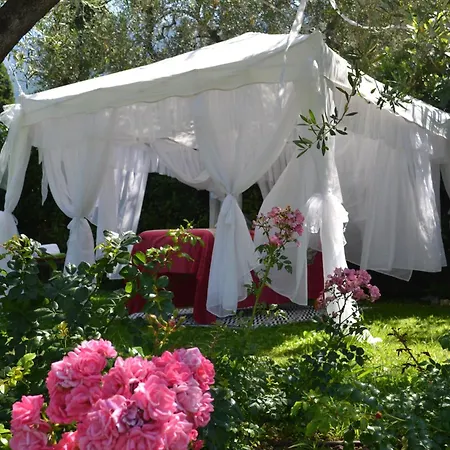 Hotel Belfiore Park 4stars Superior 